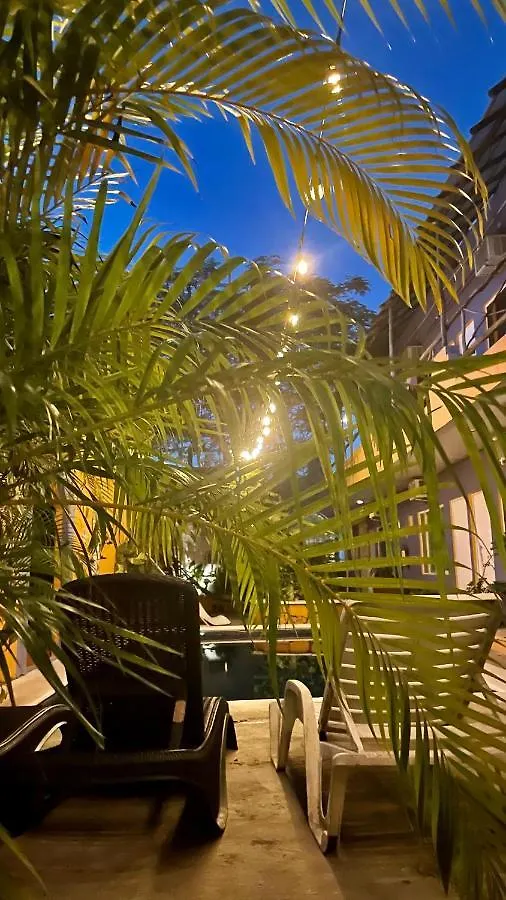 Weary Traveler Hostel Tulum